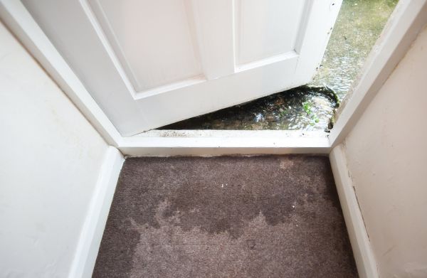 Wet Carpet Restoration in Hemet