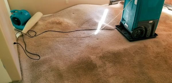 Carpet Water Extraction in Hemet